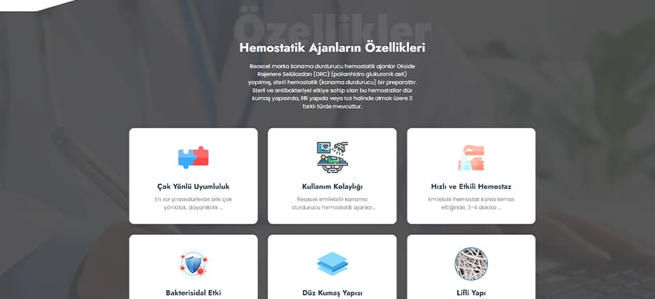 Reoxcel Web Tasarım Projesi