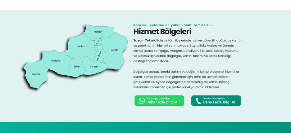 Saygın Teknik Web Tasarım Projesi